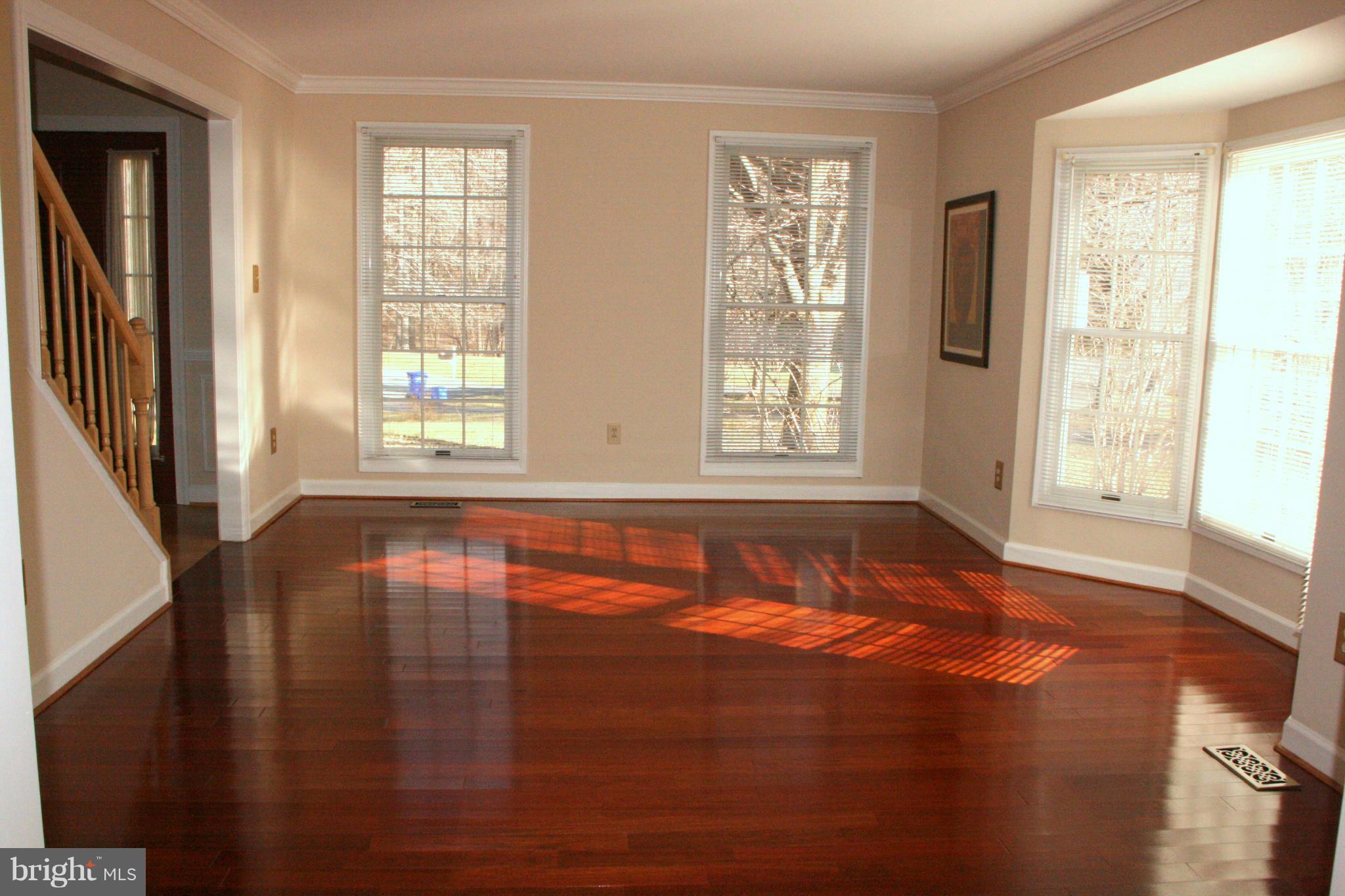 Sun Filled Living Room