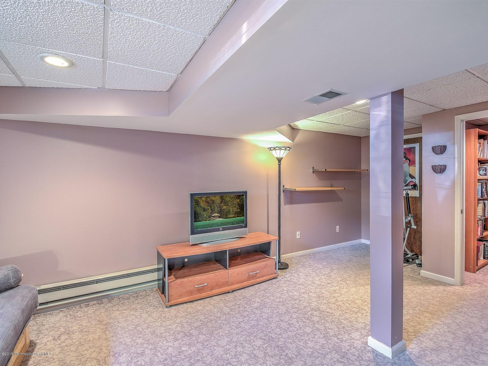 Red Valley Road Millstone Township, NJ 08510 - Photo 20 of 25 LOWER LEVEL
