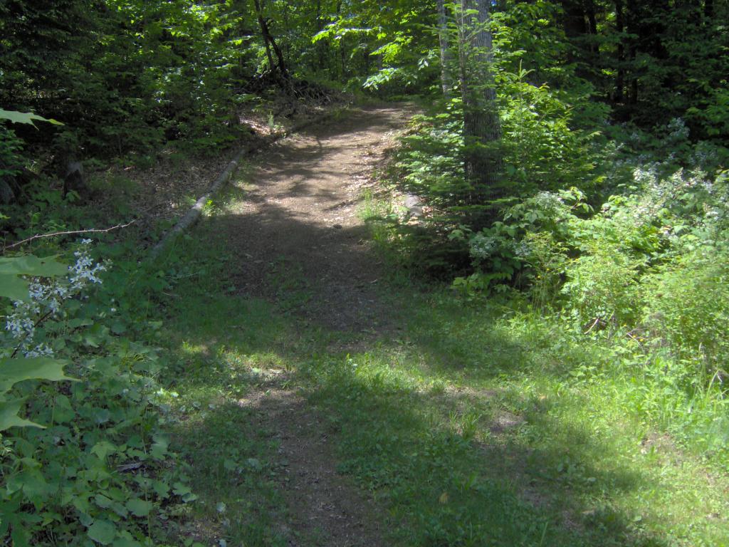 124 Jenkins Brook Road Chelsea, VT 05038 - Photo 22 of 27