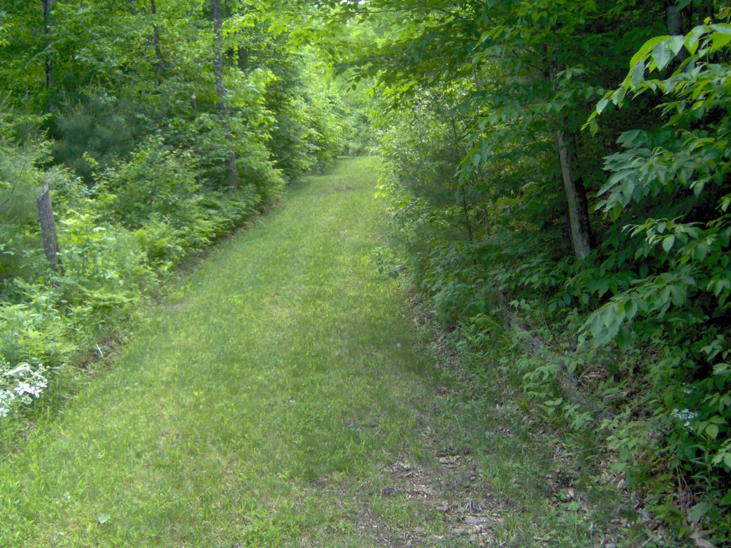 124 Jenkins Brook Road Chelsea, VT 05038 - Photo 24 of 27
