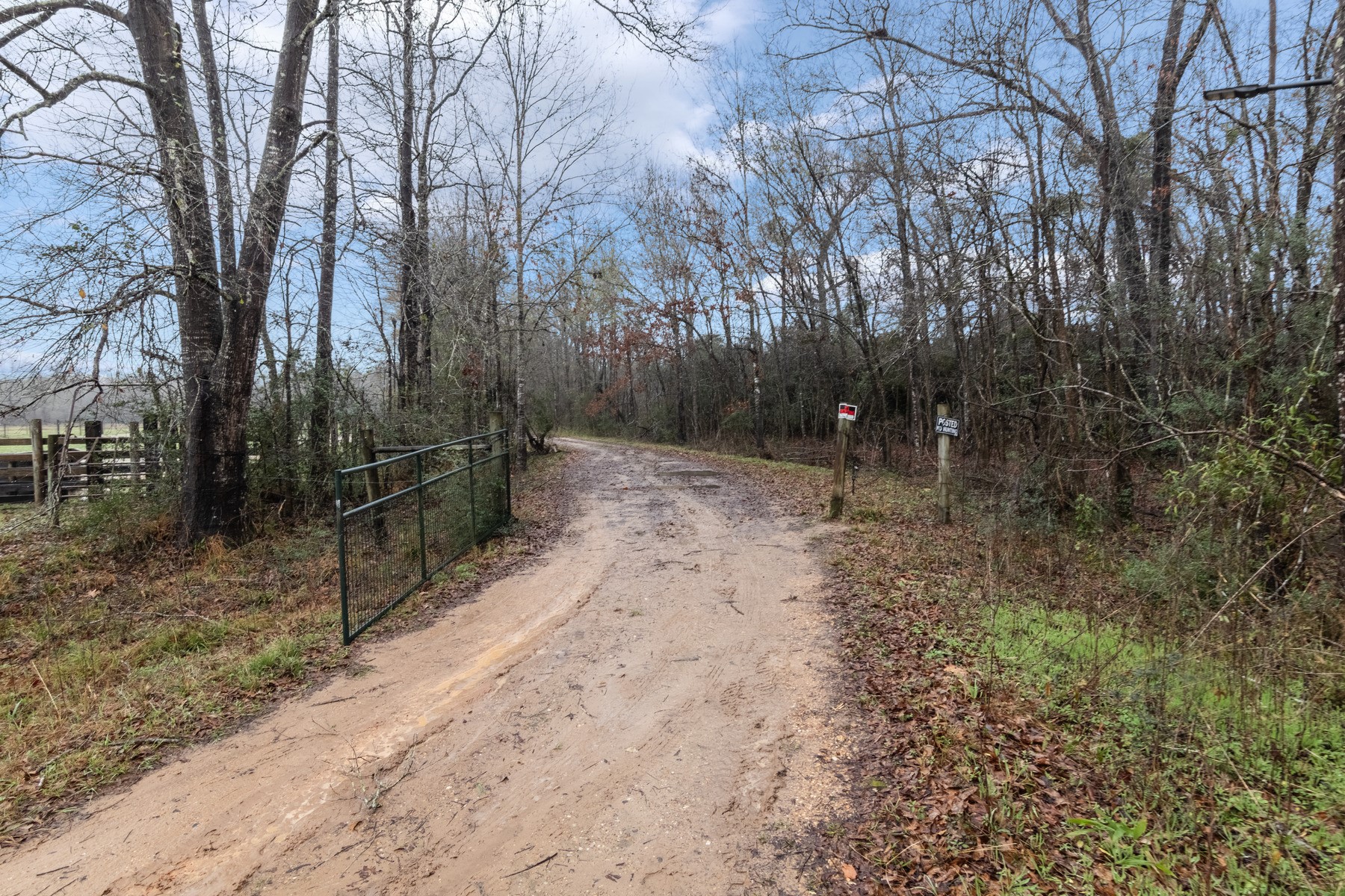 0 Wolfe Creek Road Shepherd, TX 77371 - Photo 1 of 6 a view of a forest with trees