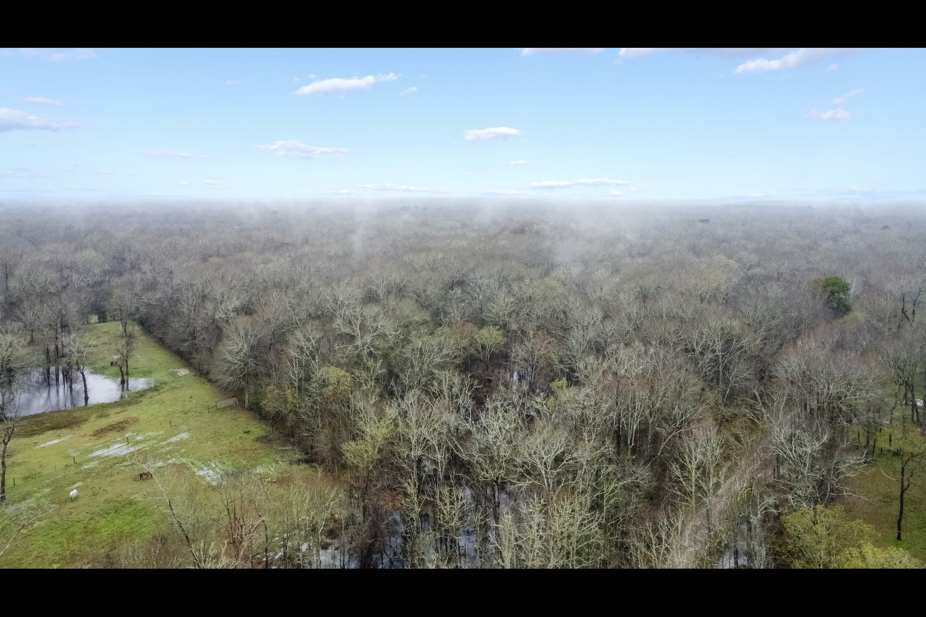 0 Wolfe Creek Road Shepherd, TX 77371 - Photo 5 of 6 a view of a city