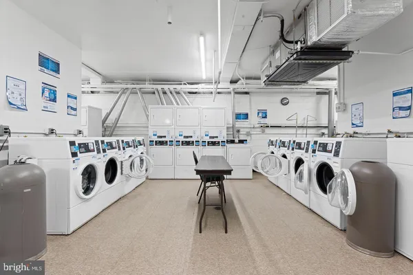 a view of a garden with a tree in it