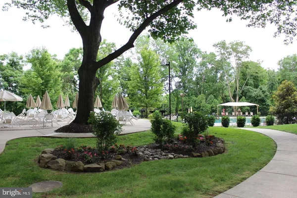 a view of a park with slide