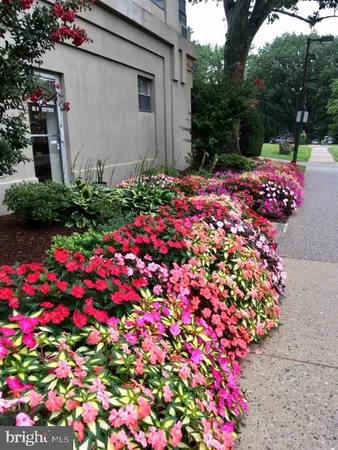 a front view of a house with flowers