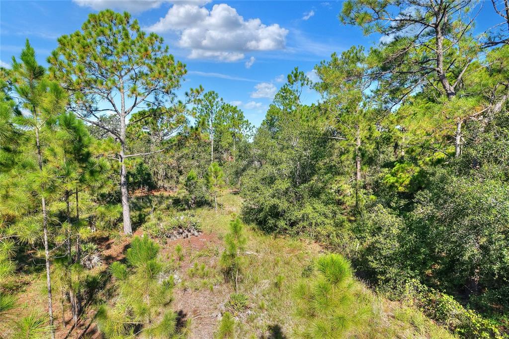 730 McClellan Road Frostproof, FL 33843 - Photo 15 of 50