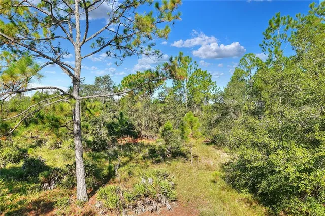 a view of a green yard
