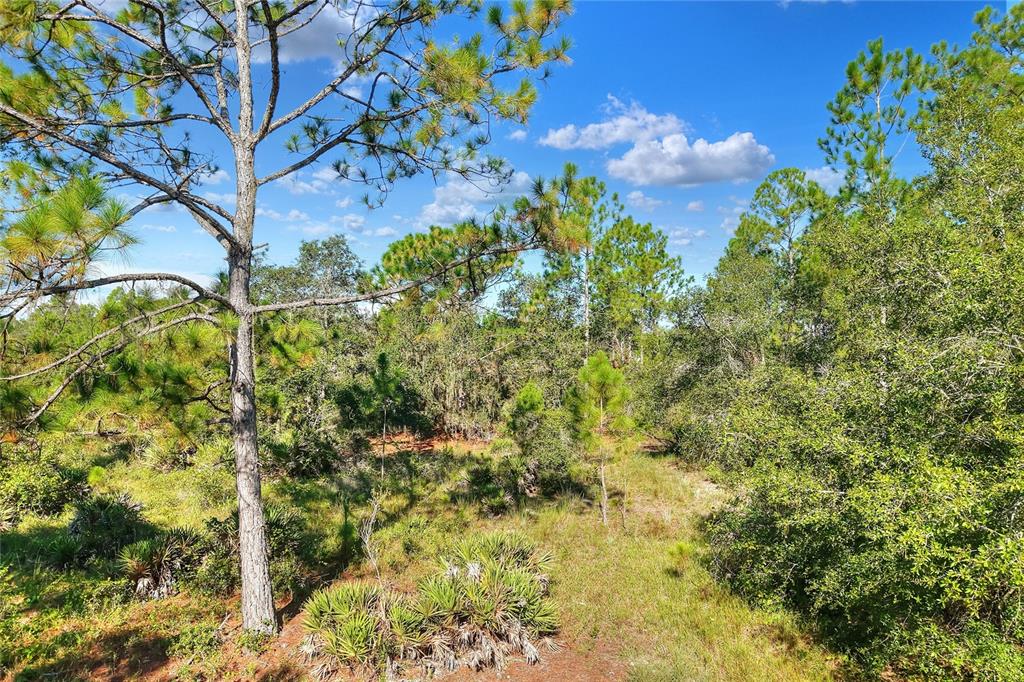 730 McClellan Road Frostproof, FL 33843 - Photo 48 of 50