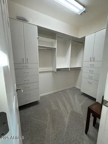 a view of walk in closet with cabinet