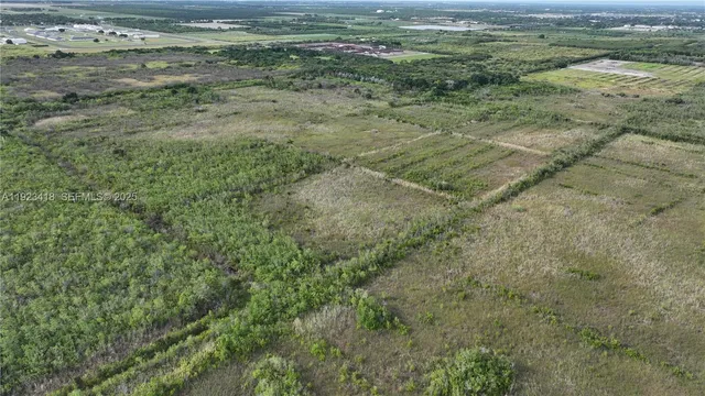 a view of a field with trees in the background