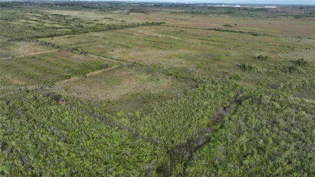 a view of beach and small yard
