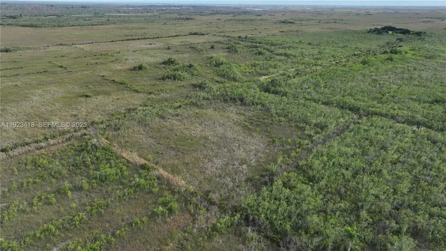 a view of a field of grass and trees
