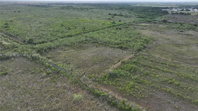 a view of a field with lots of trees