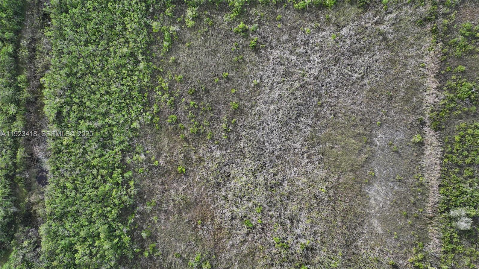 0 Southwest 382nd Street Homestead, FL 33034 - Photo 22 of 27 a close up of a plant