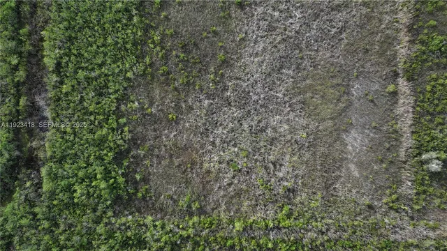 a close up of a plant