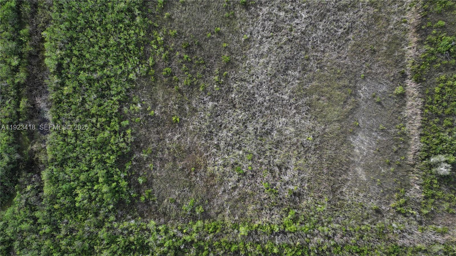 0 Southwest 382nd Street Homestead, FL 33034 - Photo 23 of 27 a close up of a tree