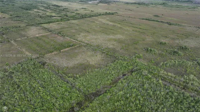 a view of a dry yard with lots of bushes
