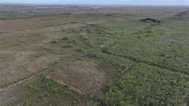 a view of a dry yard with trees