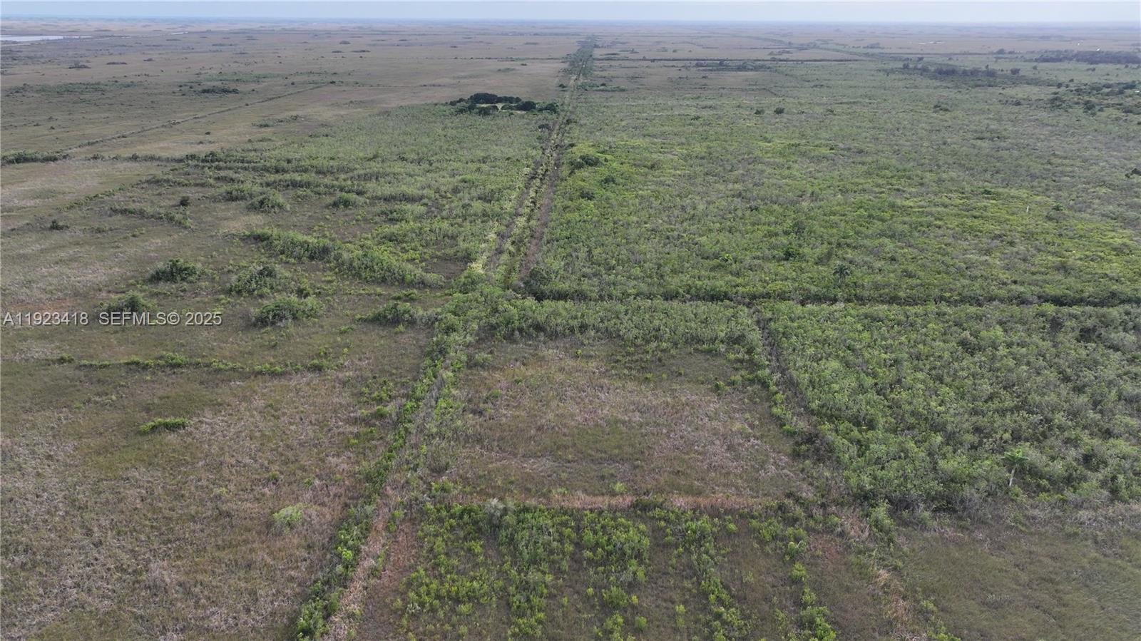 0 Southwest 382nd Street Homestead, FL 33034 - Photo 8 of 27 a view of a dry yard with trees
