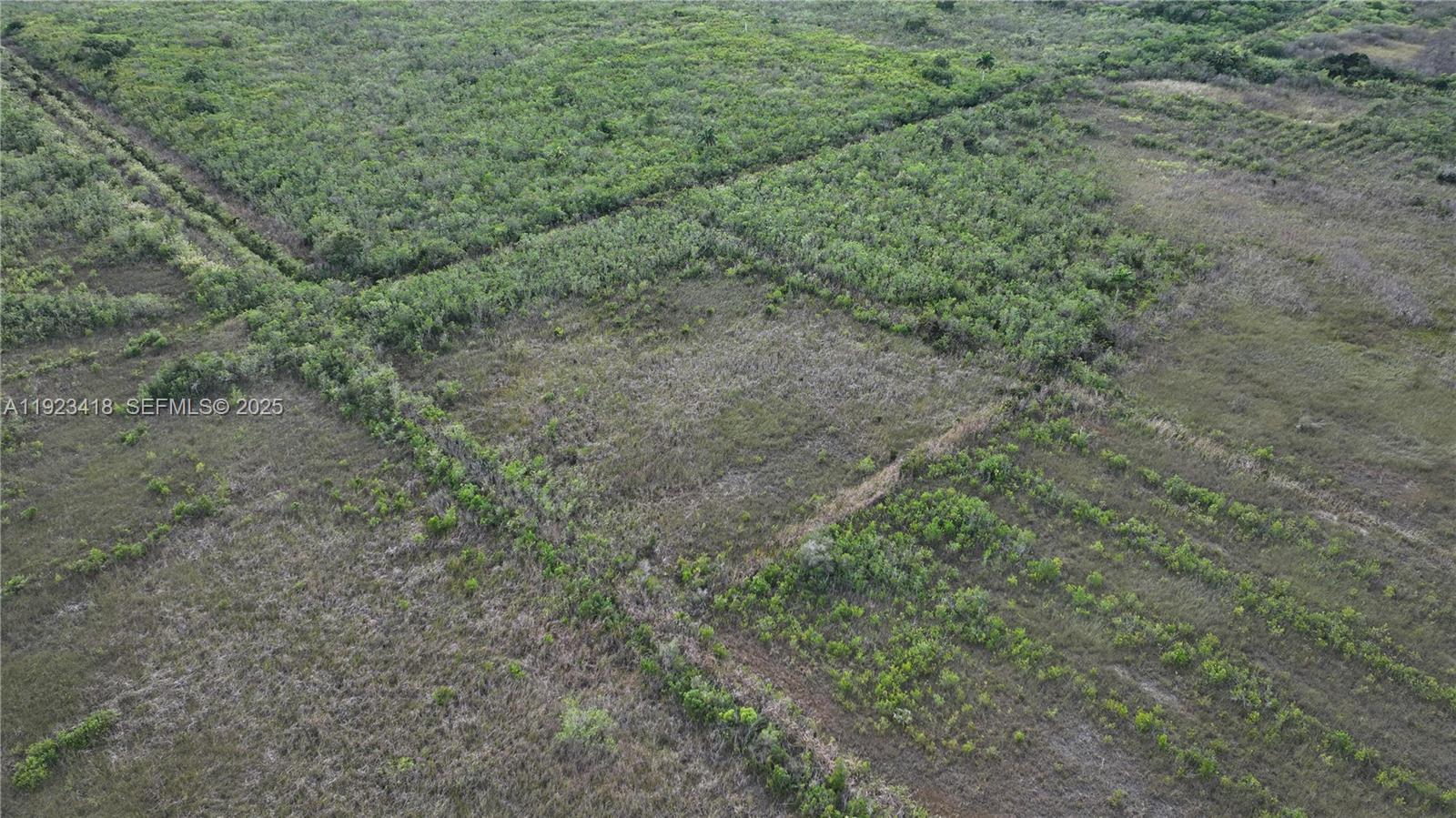 0 Southwest 382nd Street Homestead, FL 33034 - Photo 9 of 27 a view of a forest with lots of trees