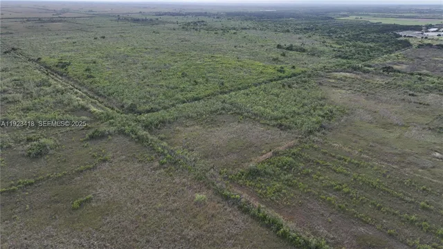 a view of a yard with an outdoor space