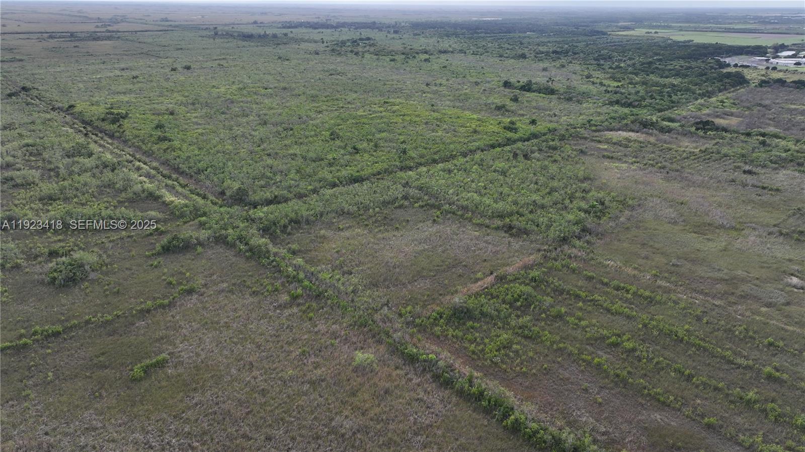 0 Southwest 382nd Street Homestead, FL 33034 - Photo 10 of 27 a view of a dry yard