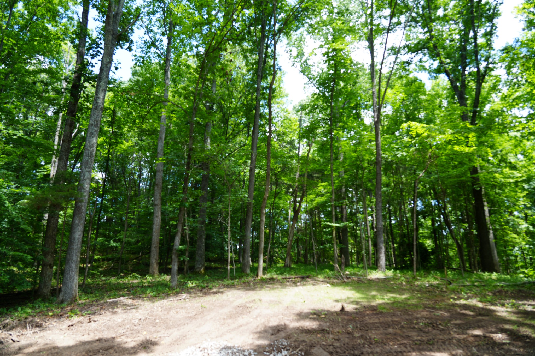 1 Budds Creek Road Palmyra, TN 37142 - Photo 44 of 76