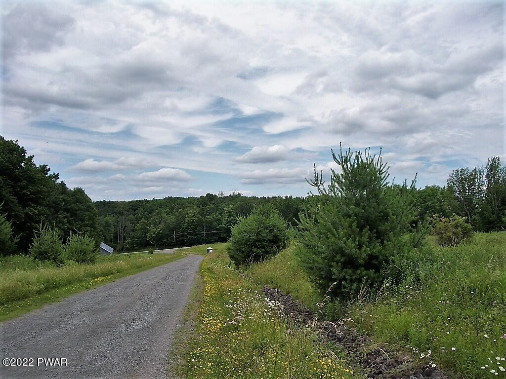 Lot 2 Avoy Heights Road Lake Ariel, PA 18436 - Photo 4 of 9