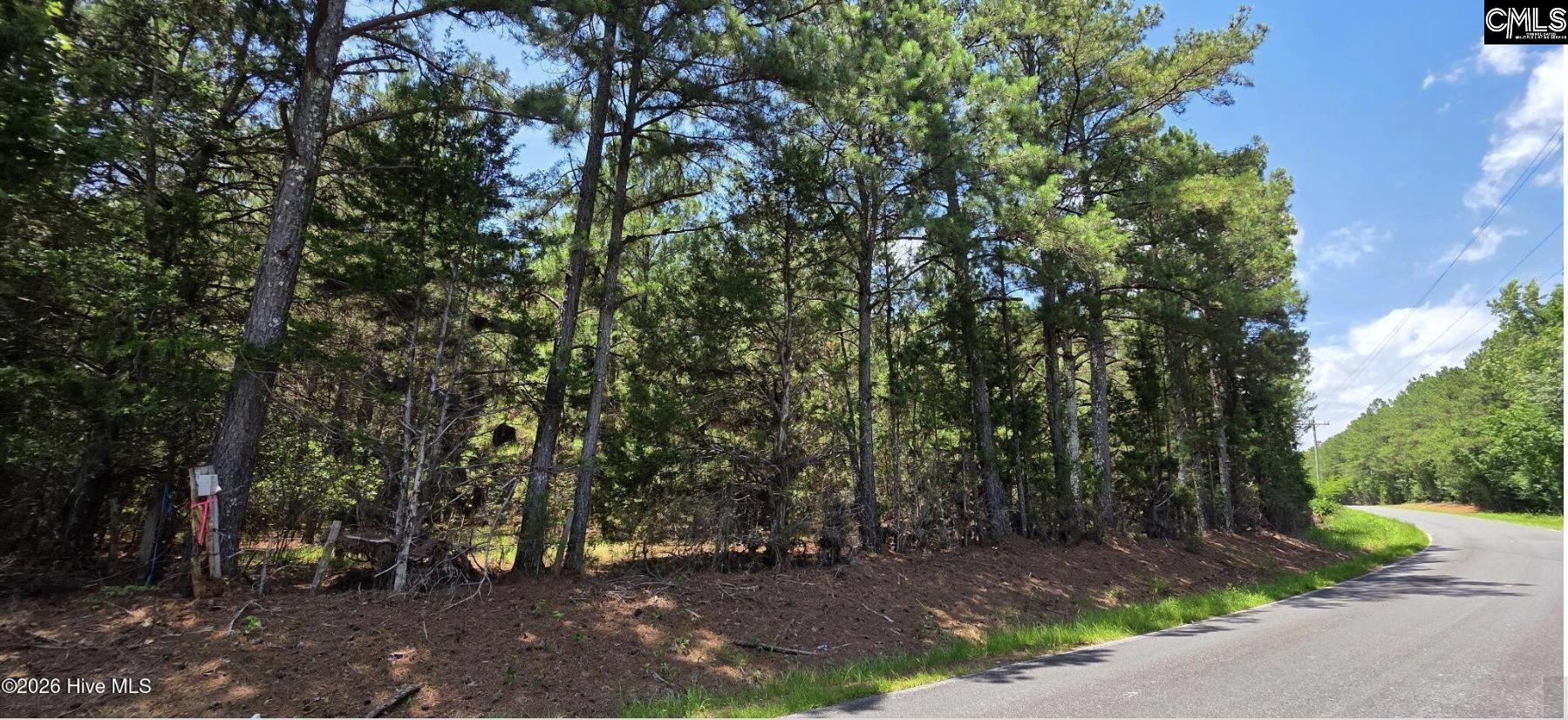 10-acres Chestnut Ridge Road McCormick, SC 29835 - Photo 4 of 4 Gallery Image 4