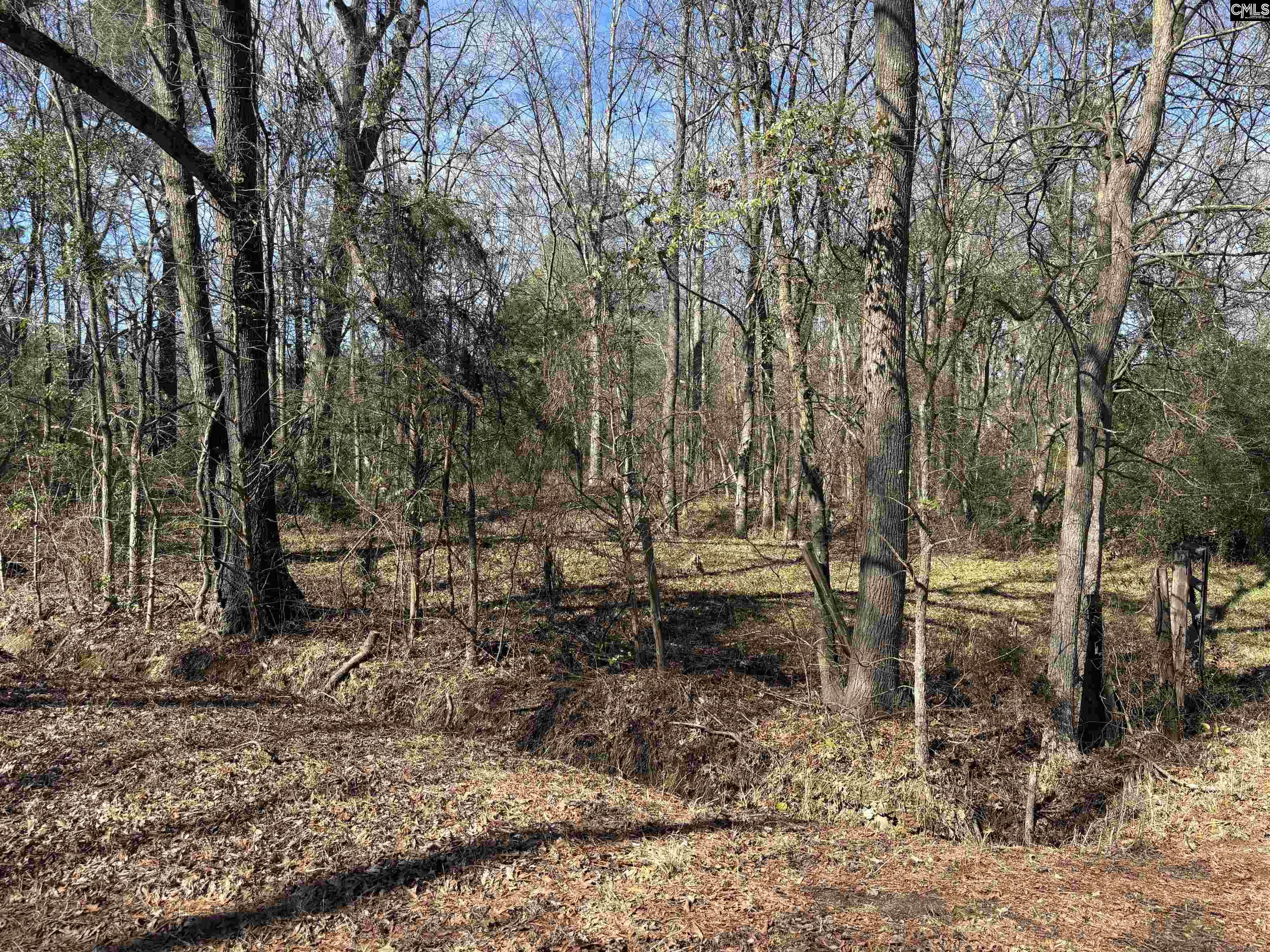 0 Bethany Road Saluda, SC 29138 - Photo 6 of 24