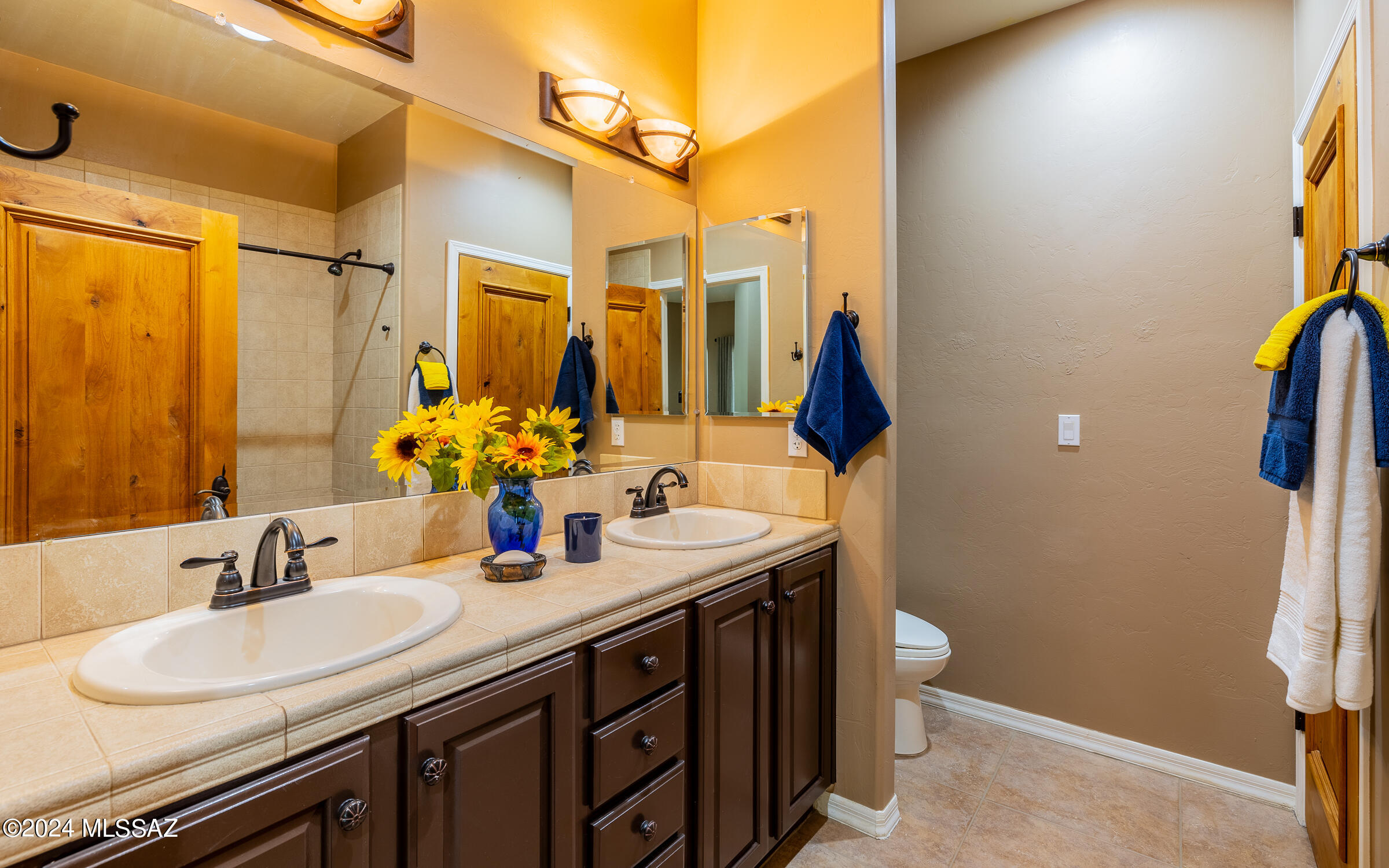 341 Sharon Road Vail, AZ 85641 - Photo 24 of 50 a bathroom with a double vanity sink and a mirror