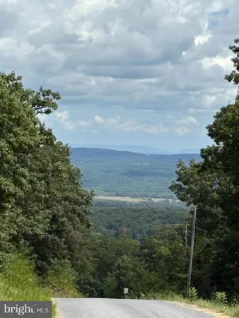 a view of backyard with green space