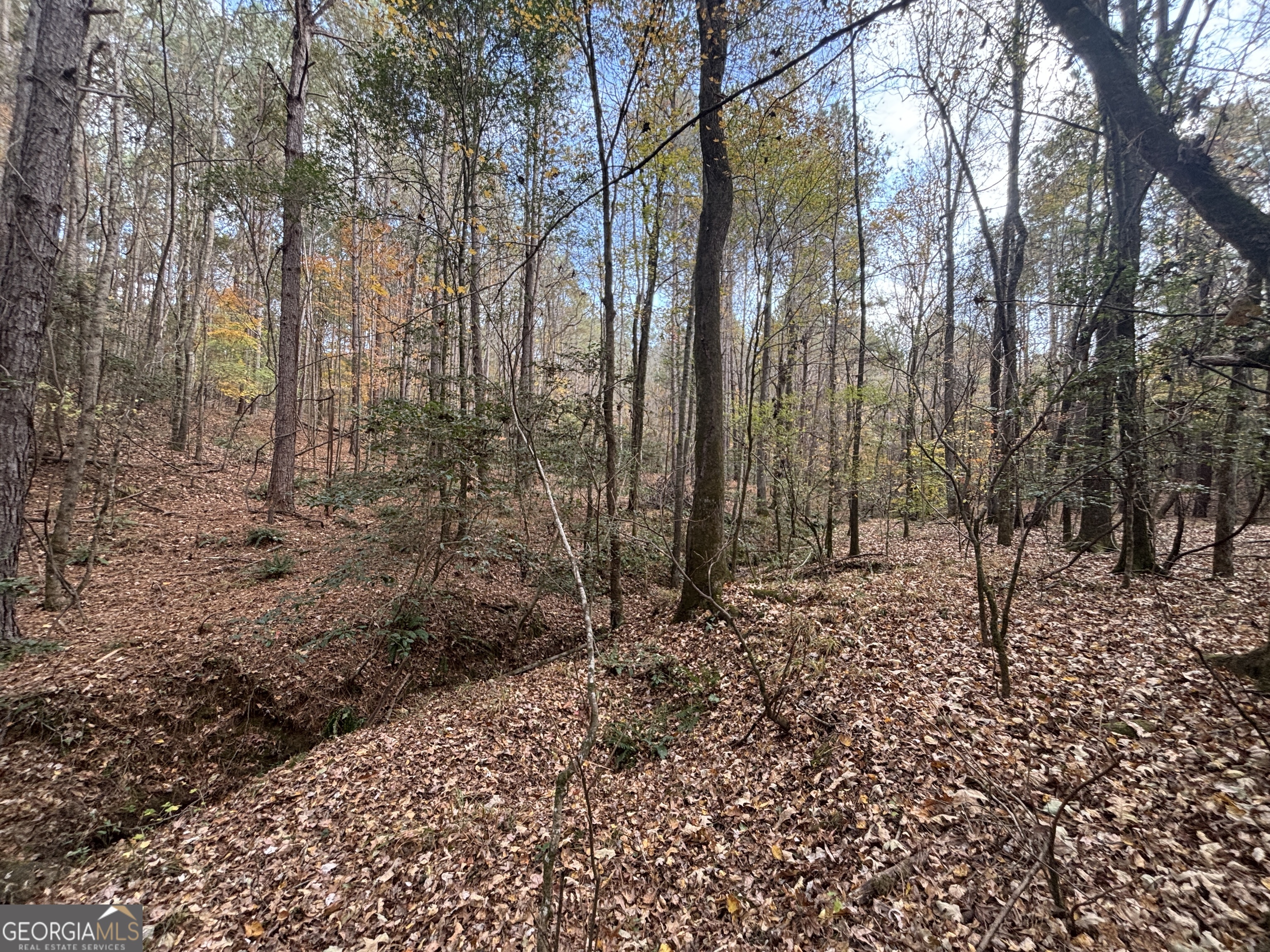 0 Oconee Road Buckhead, GA 30625 - Photo 11 of 16