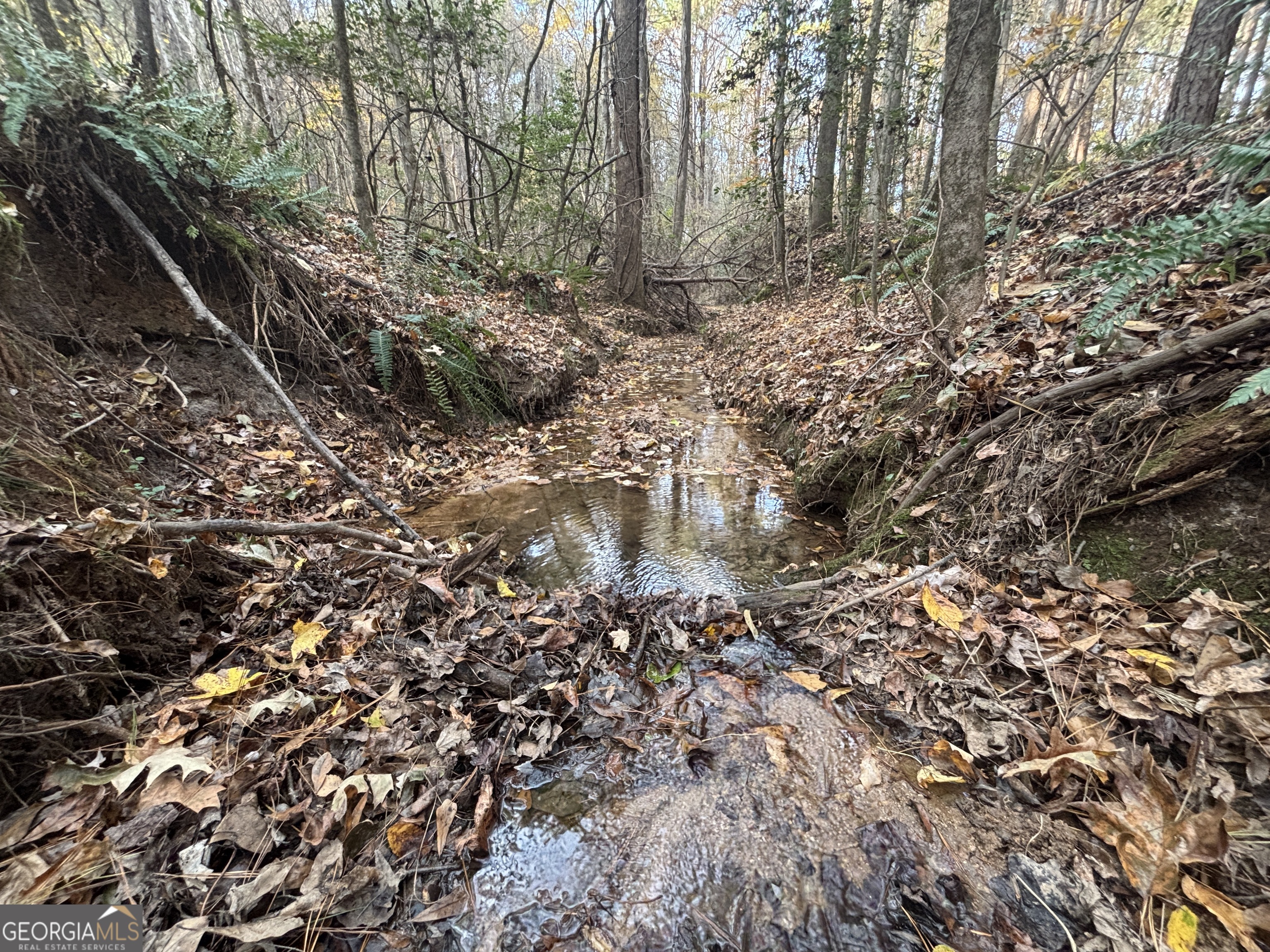 0 Oconee Road Buckhead, GA 30625 - Photo 12 of 16