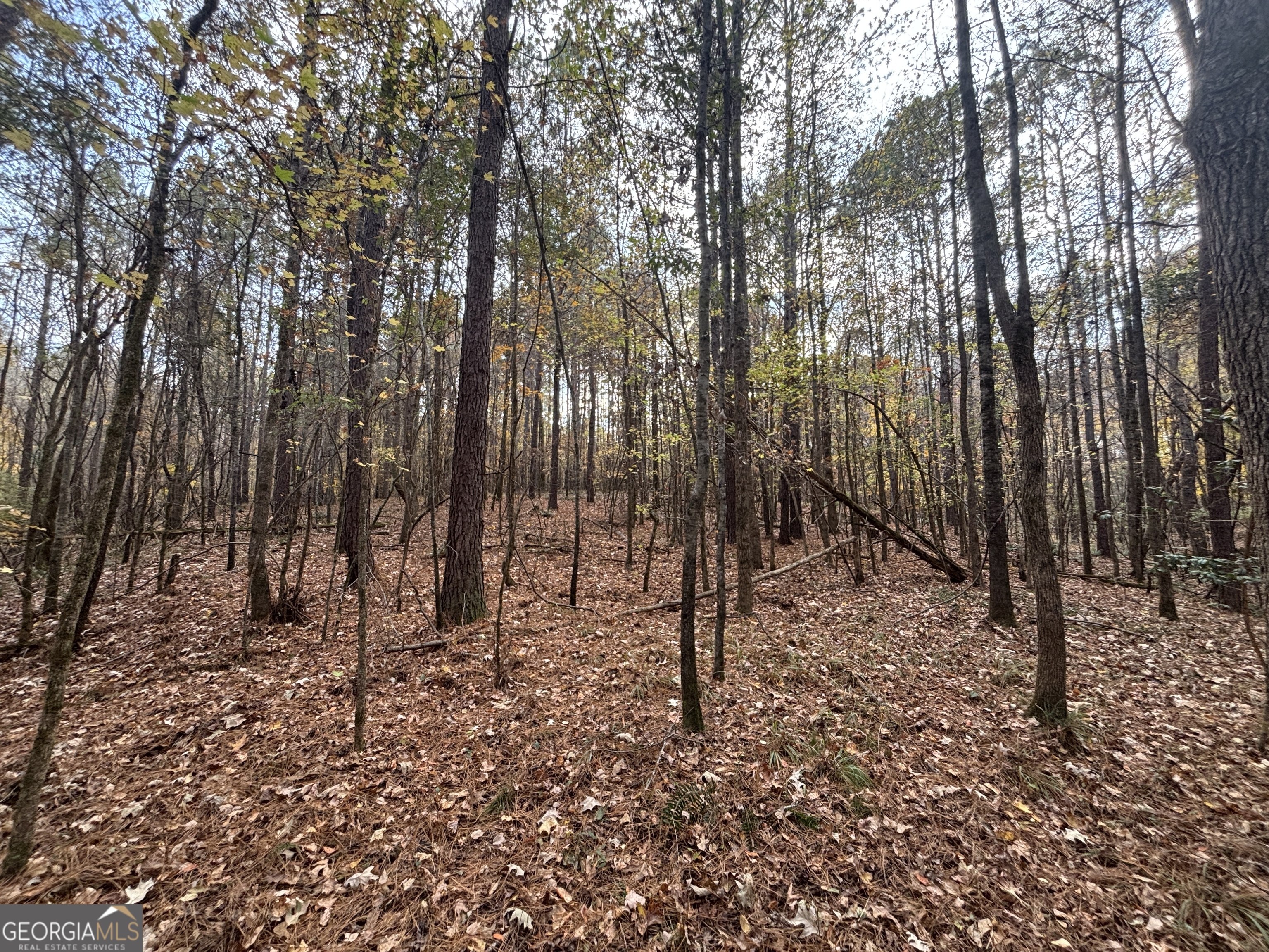 0 Oconee Road Buckhead, GA 30625 - Photo 13 of 16