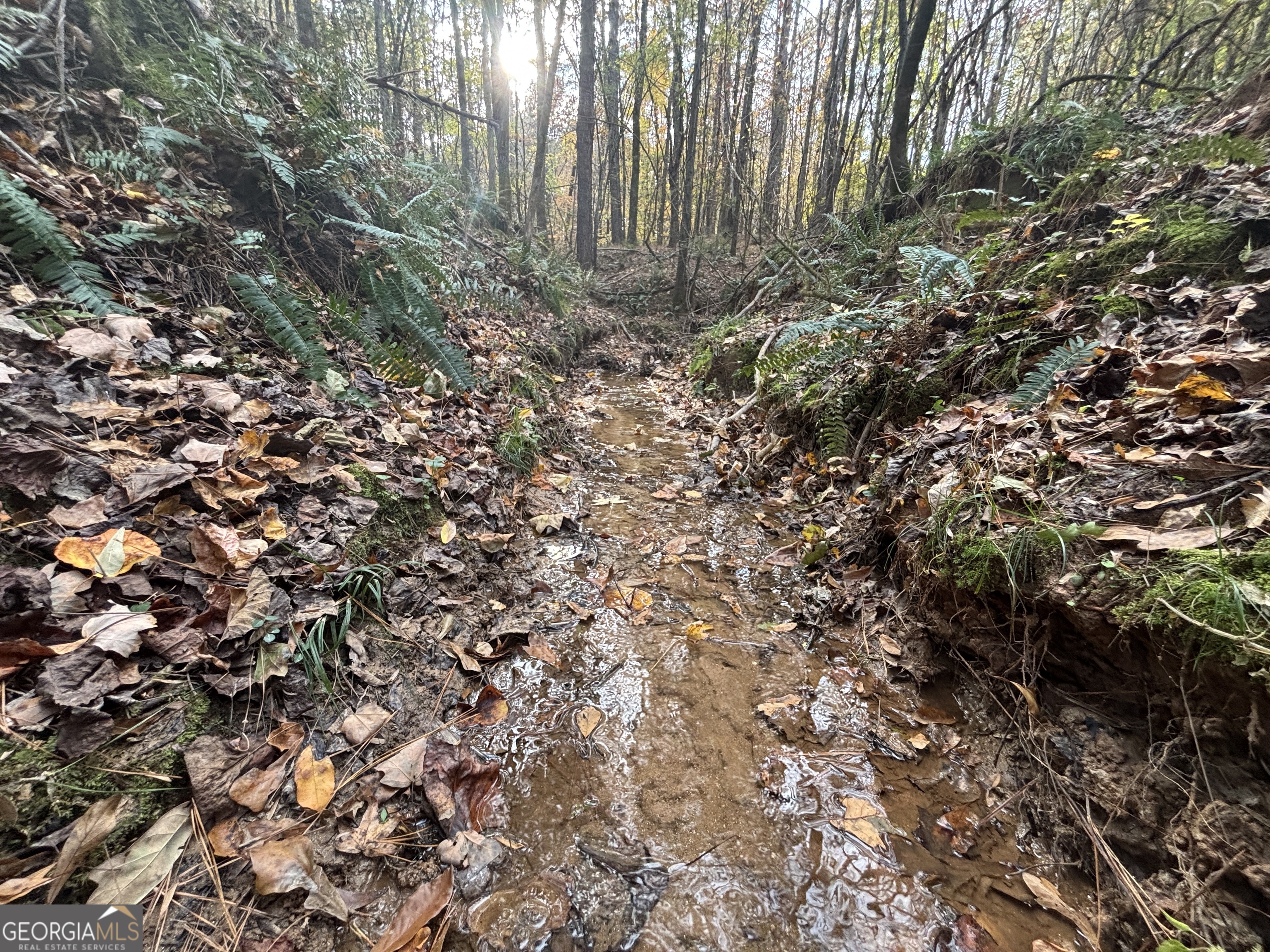 0 Oconee Road Buckhead, GA 30625 - Photo 2 of 16