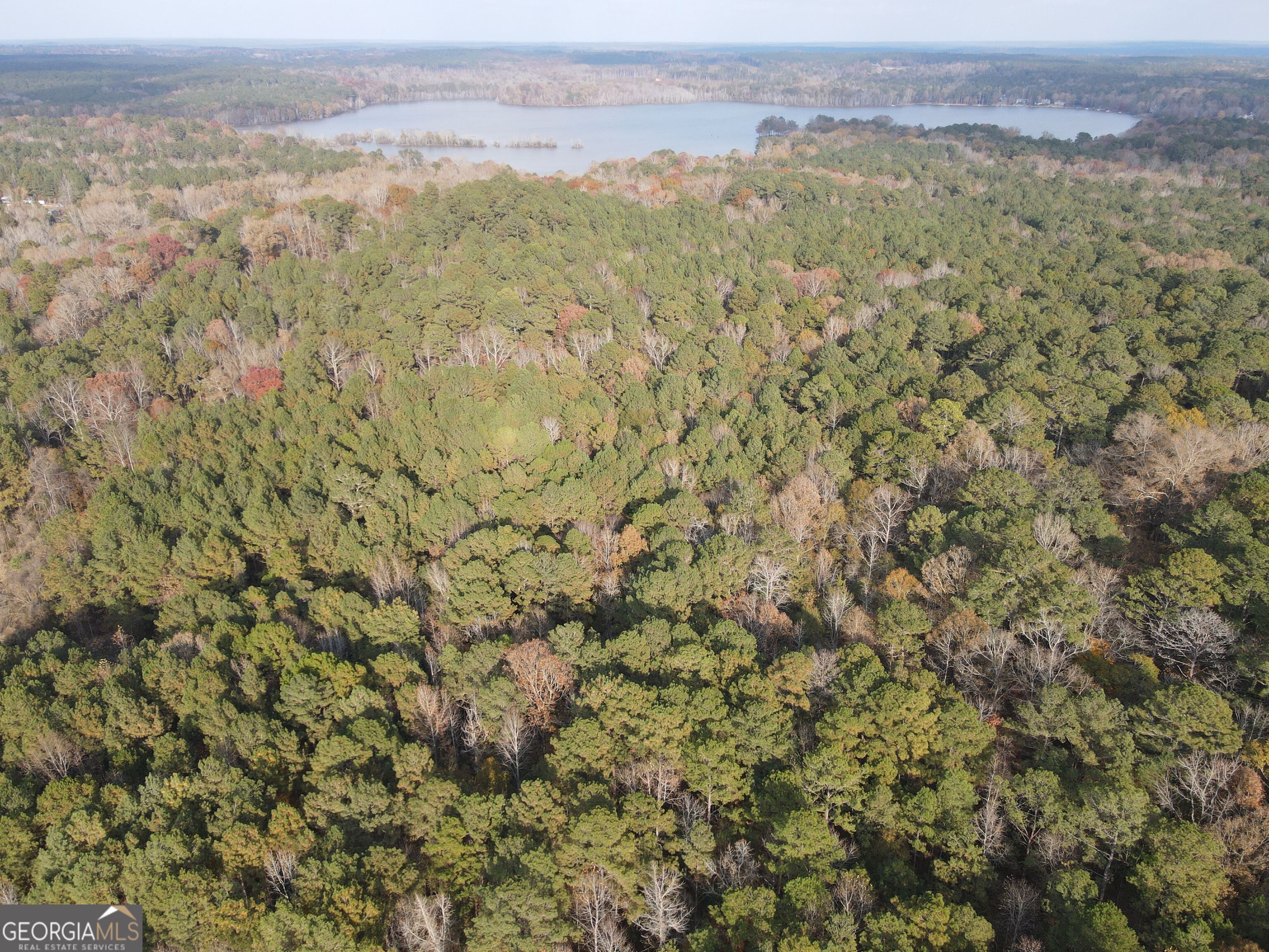 0 Oconee Road Buckhead, GA 30625 - Photo 5 of 16