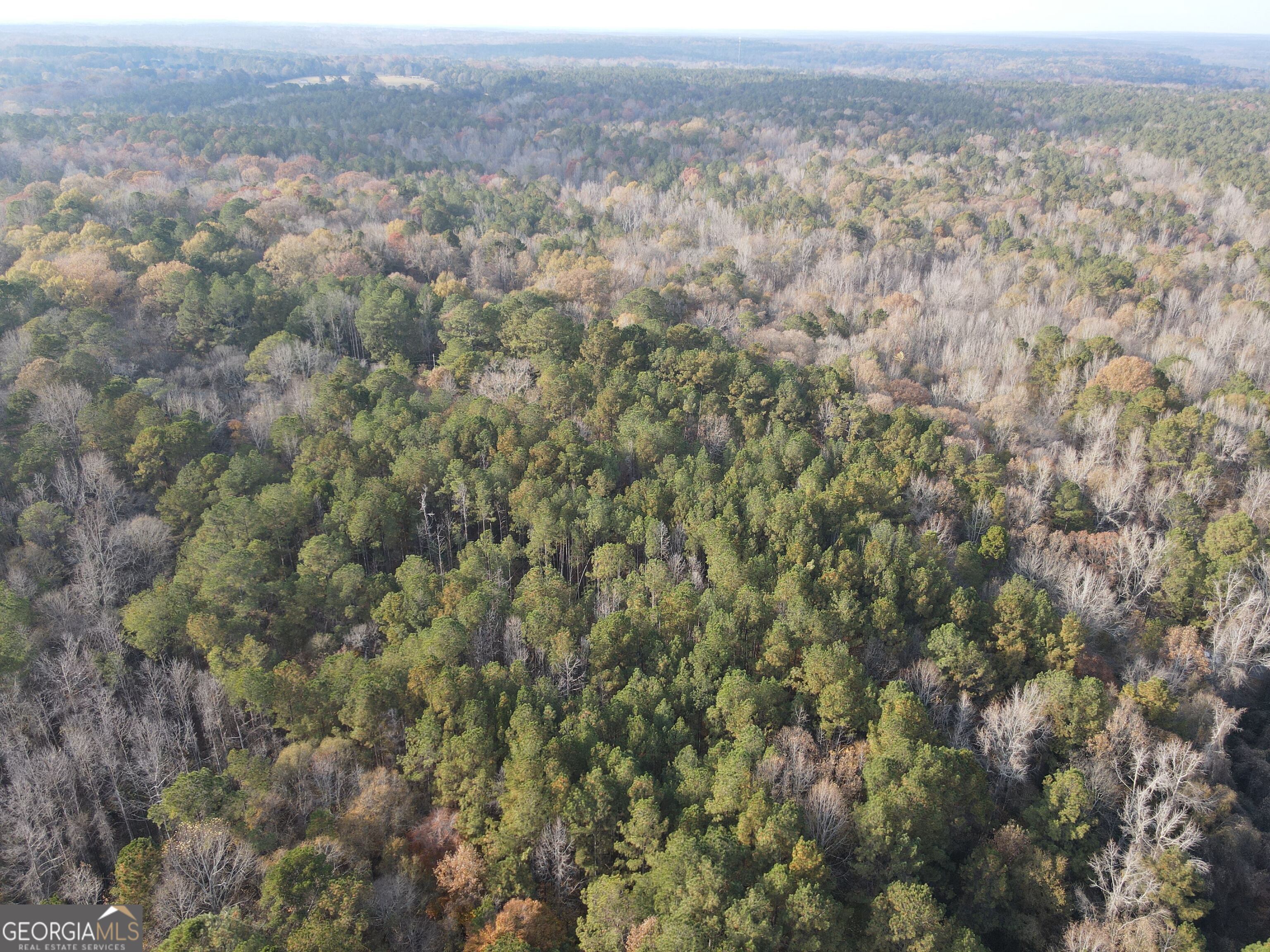 0 Oconee Road Buckhead, GA 30625 - Photo 7 of 16