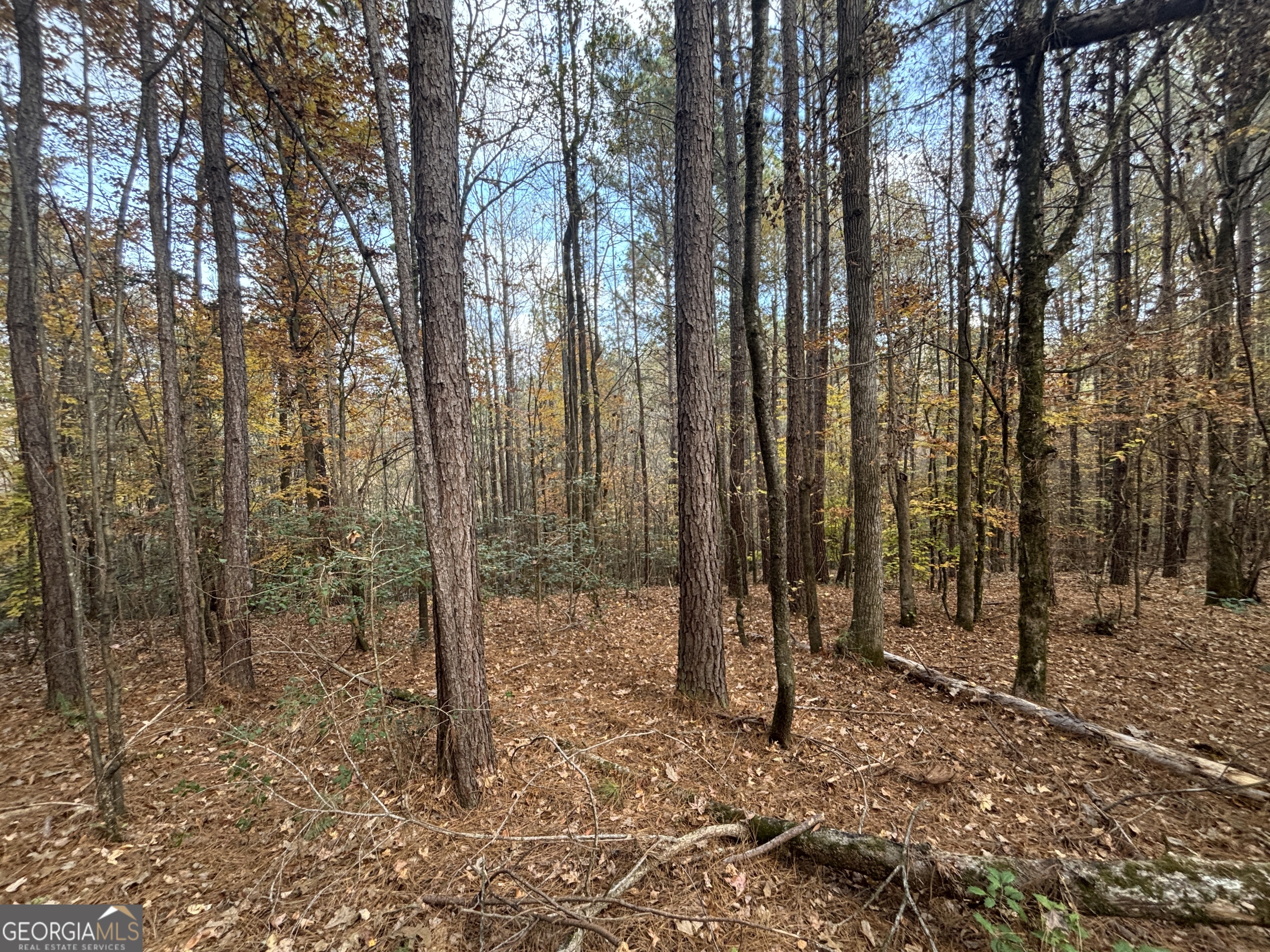 0 Oconee Road Buckhead, GA 30625 - Photo 8 of 16