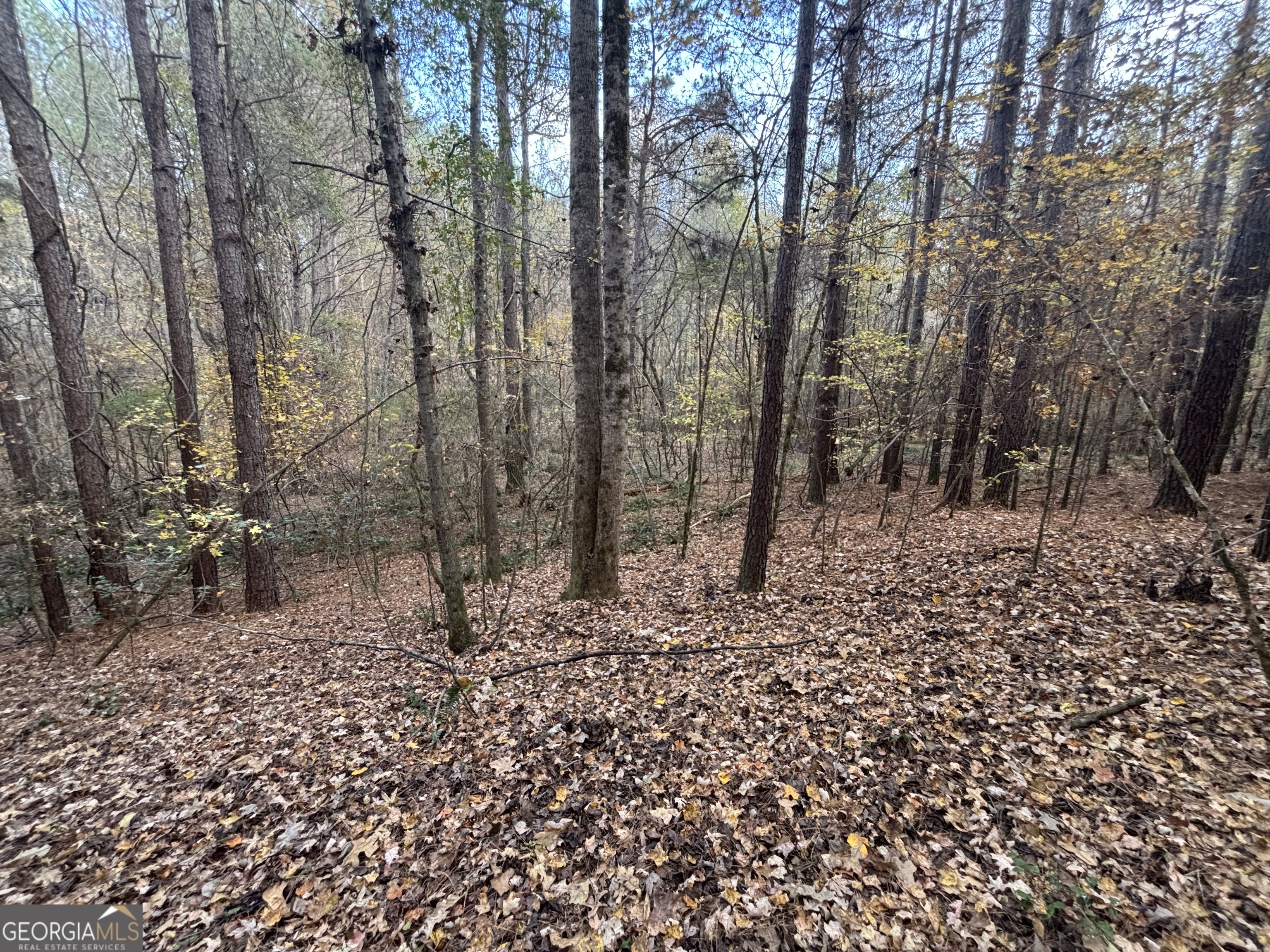 0 Oconee Road Buckhead, GA 30625 - Photo 9 of 16