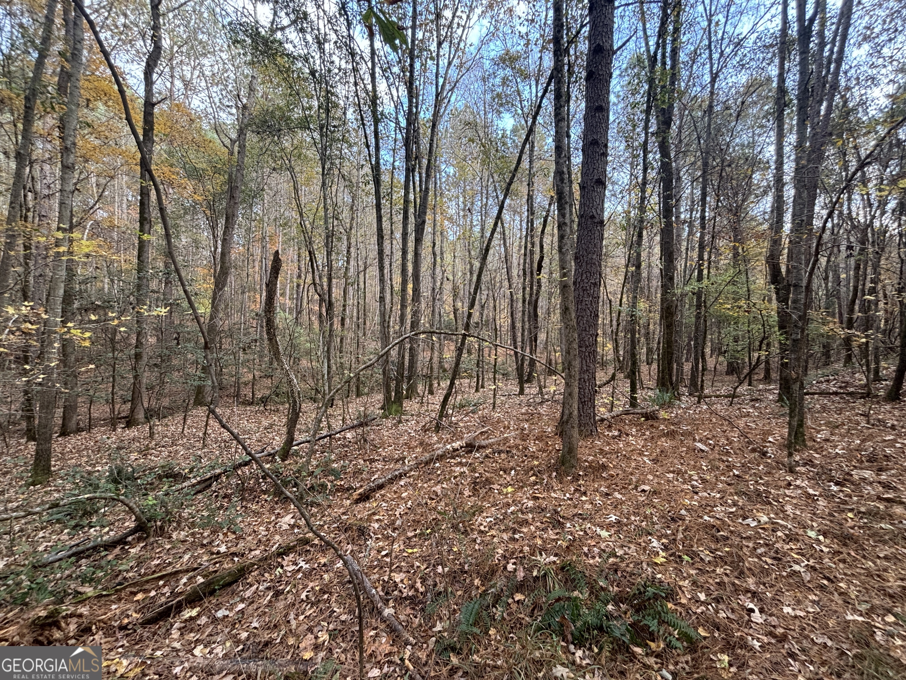 0 Oconee Road Buckhead, GA 30625 - Photo 10 of 16