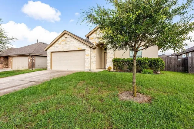 a backyard of a house with plants and large tree