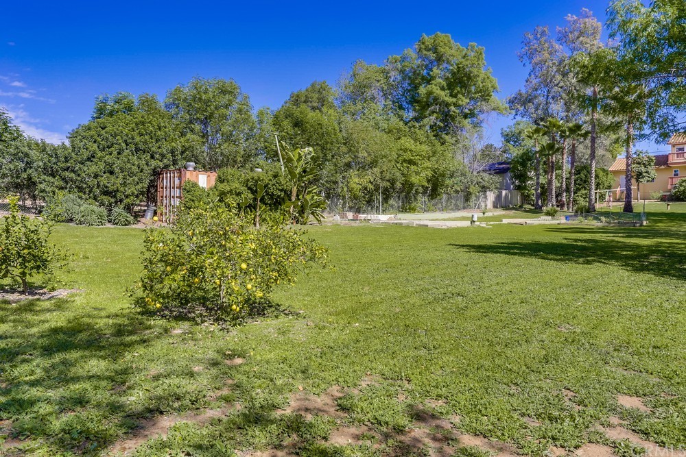 2725 Alta Vista Drive Fallbrook, CA 92028 - Photo 49 of 50 a view of a grassy field with trees