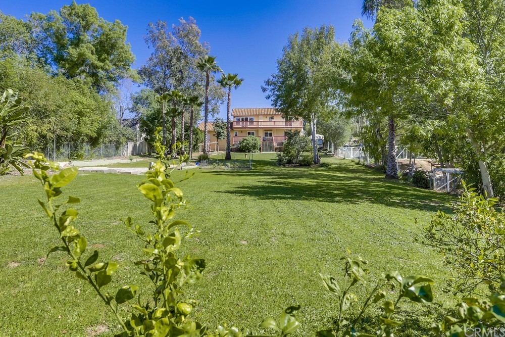 2725 Alta Vista Drive Fallbrook, CA 92028 - Photo 50 of 50 a view of a big yard with plants and large trees