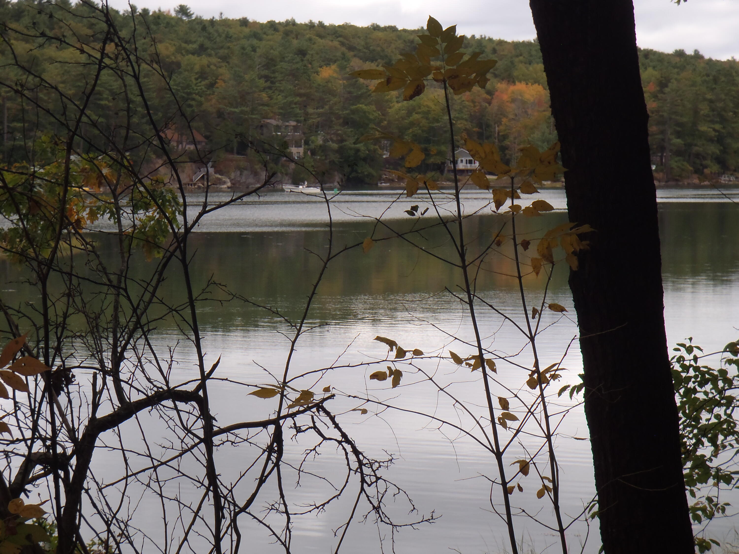 28 Bull Rock Road Brunswick, ME 04011 - Photo 11 of 42 P1010042