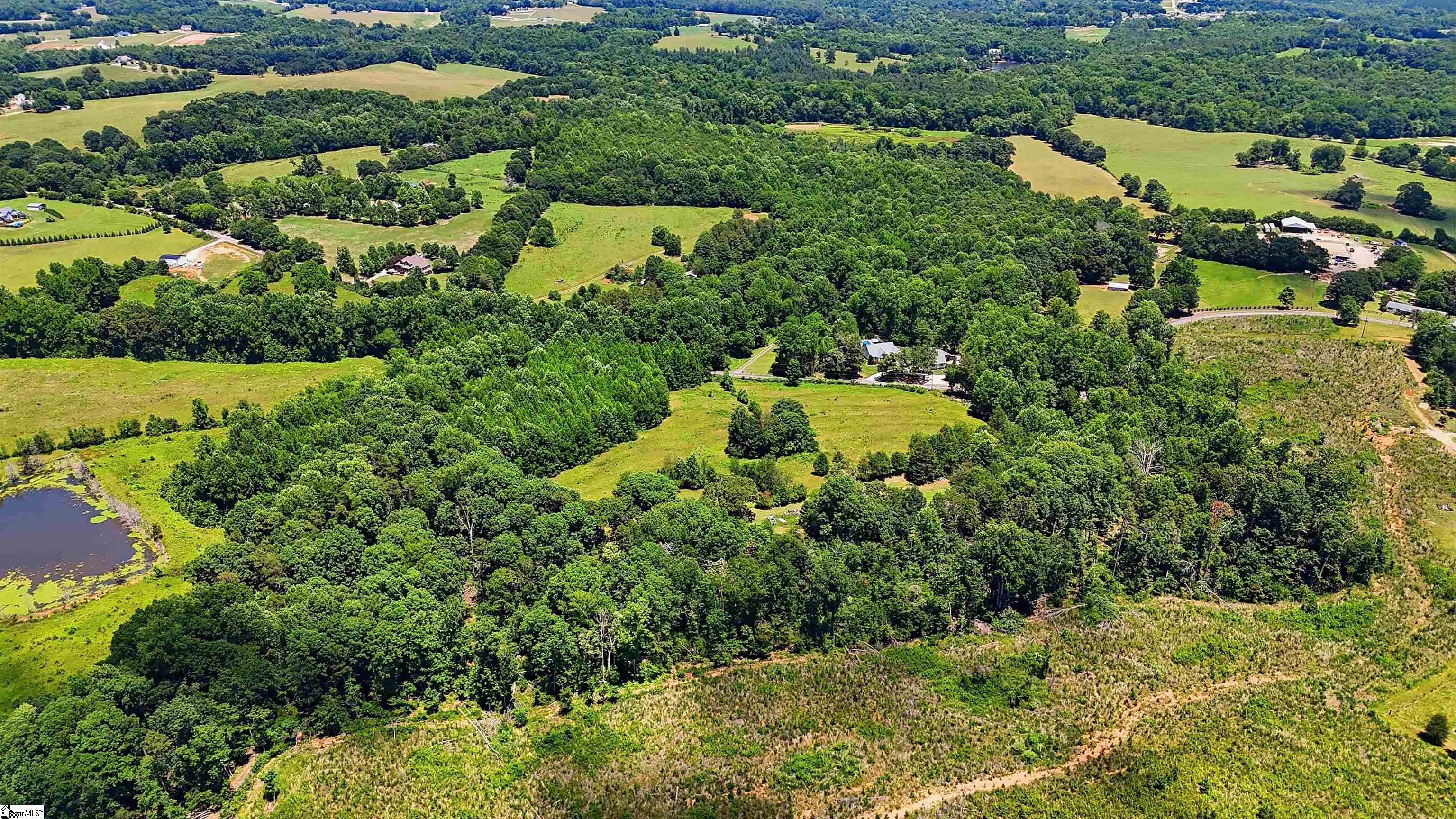 4453 Jug Factory Road Greer, SC 29651 - Photo 8 of 13