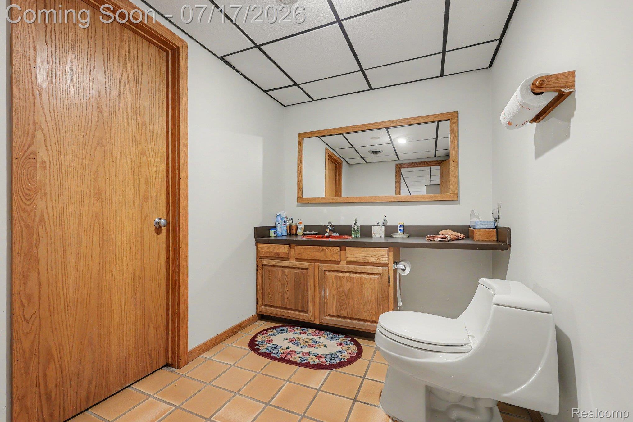5685 Paint Valley Drive Rochester, MI 48306 - Photo 32 of 66 Bathroom featuring light wood-finish cabinetry with a dark countertop and a wall-mounted mirror
