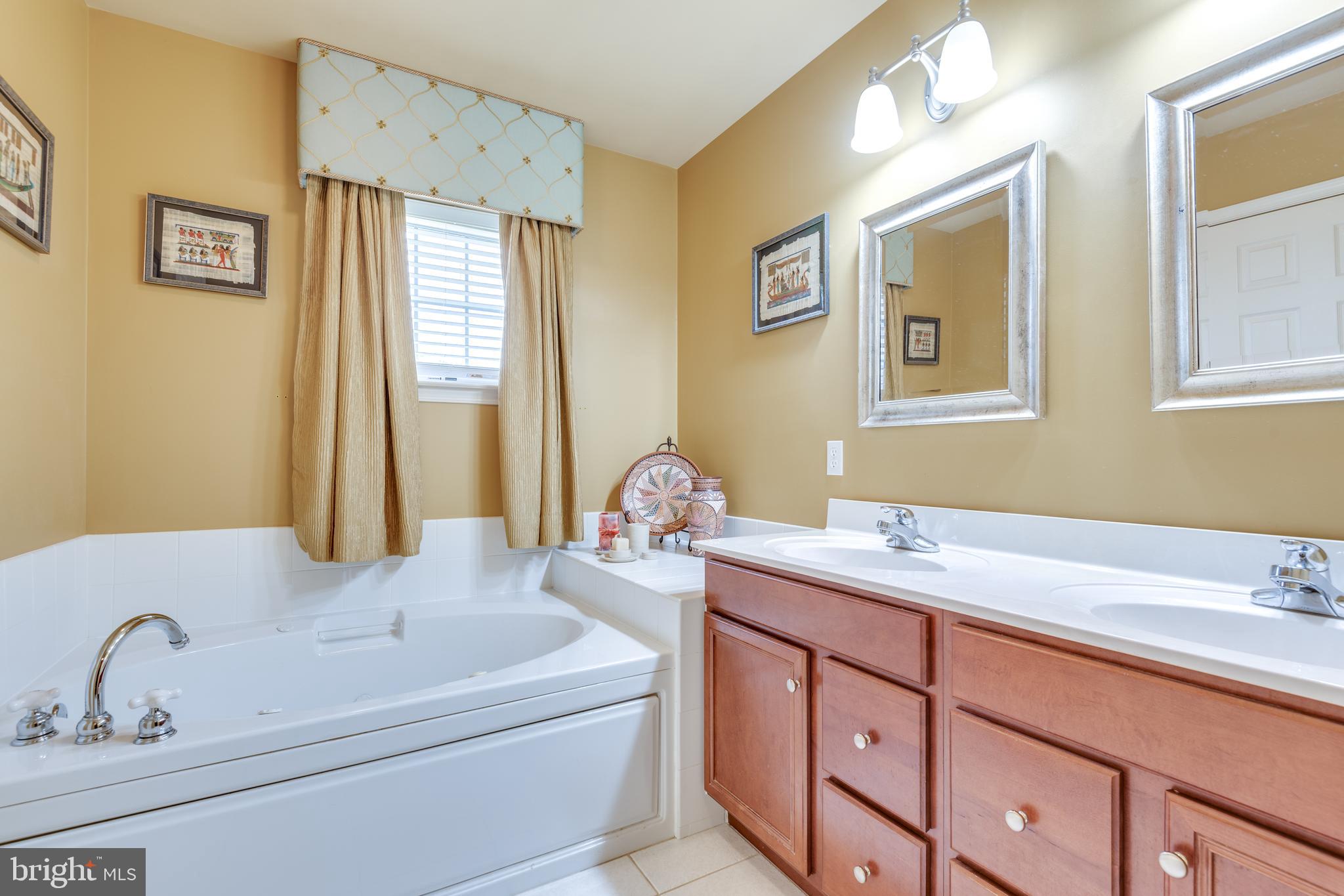 1225 Brighton Avenue Lititz, PA 17543 - Photo 28 of 74 Master bath