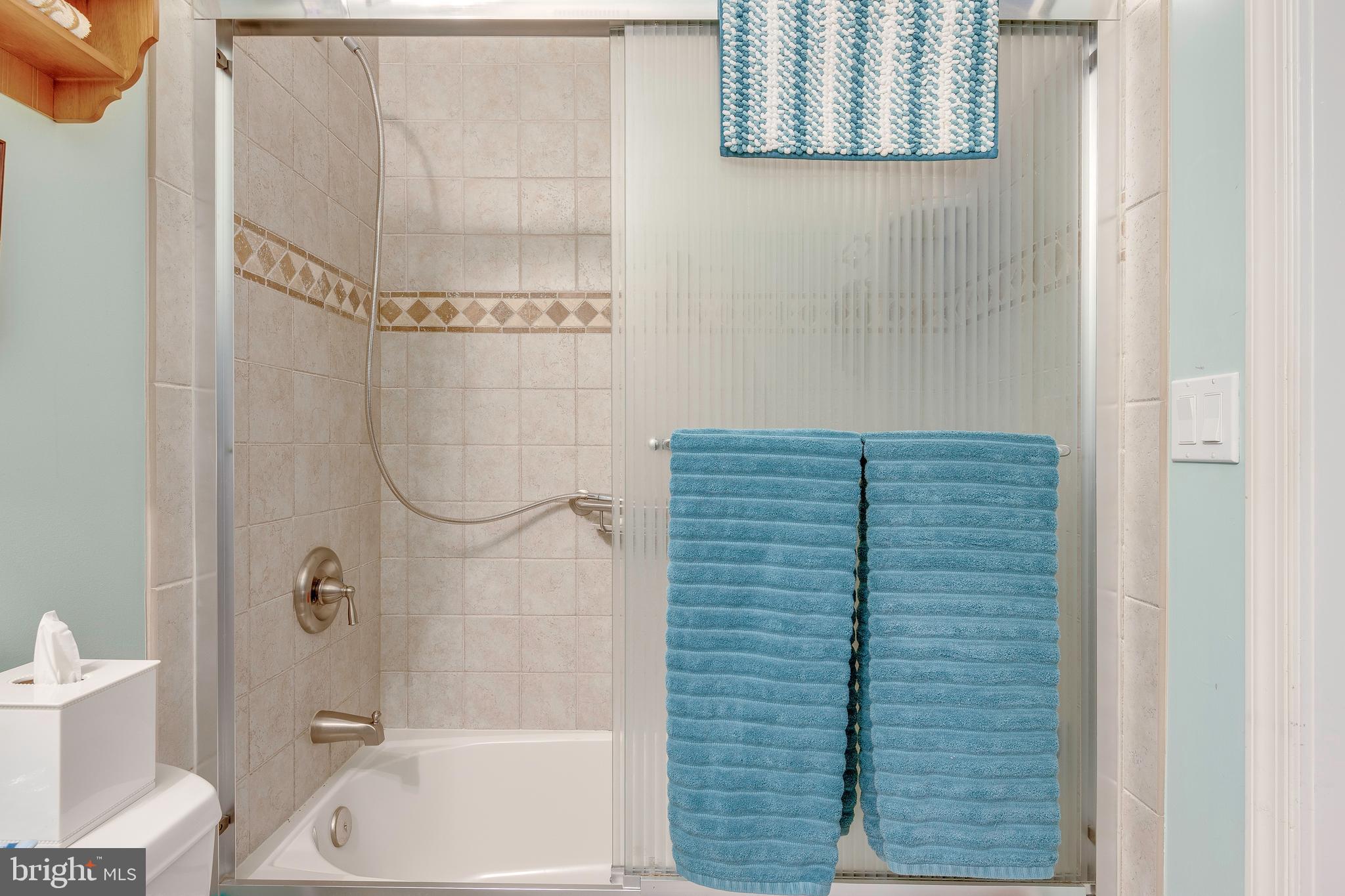 1225 Brighton Avenue Lititz, PA 17543 - Photo 56 of 74 ensuite bath