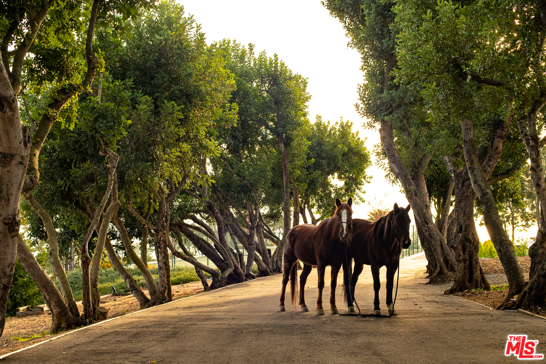 17 Crest Road East Rolling Hills, CA 90274 - Photo 7 of 31